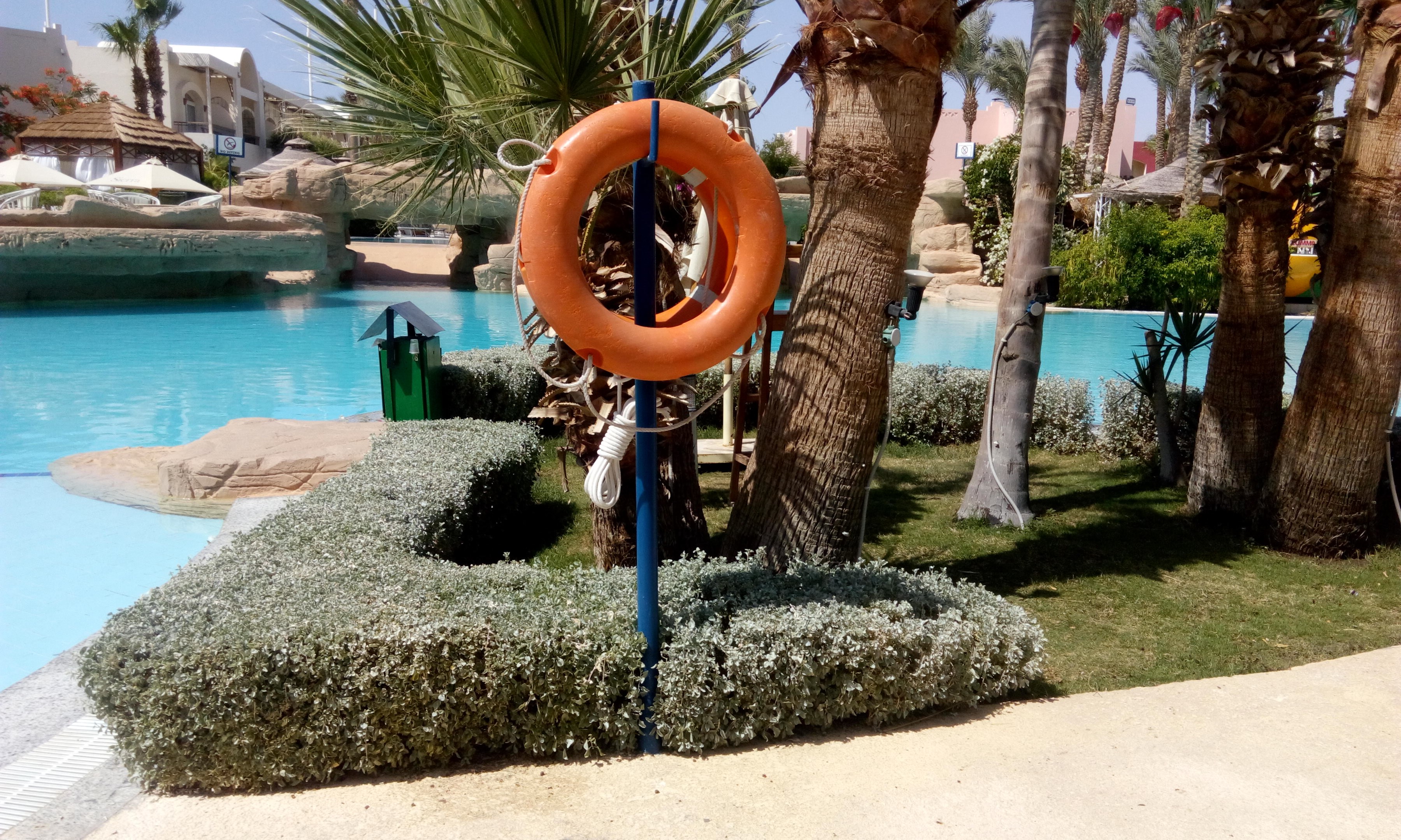 Ein Schwimmbad mit einem Rettungsring in der Mitte, umgeben von grünem Gras, Pflanzen, Bäumen, Gebäuden, Sonnenschirmen und einem klaren blauen Himmel.