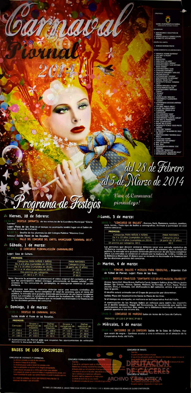 Eine Frau in einem bunten Kleid, die fröhlich lächelt, umgeben von der fetten schwarzen Schrift "Faschingsfest 2014" auf einem leuchtend gelben Hintergrund.