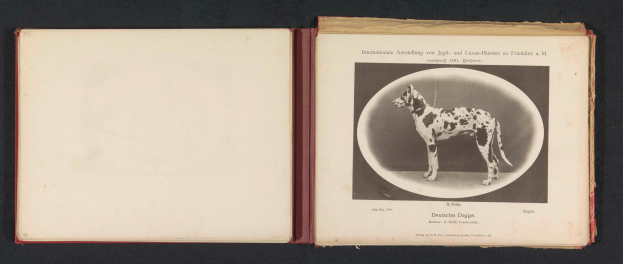 Ein aufgeschlagenes Buch mit dem Titel "Internationale Ausstellung von Jagd- und Luxus-Hunden zu Frankfurt a.M." mit einem Schwarz-Weiß-Foto eines Hundes und begleitendem Text.