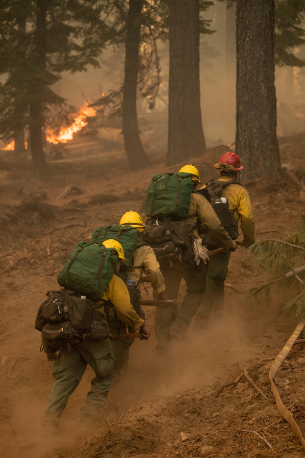 Eine Gruppe von Feuerwehrleuten in Helmen und Rürcksäcken geht durch einen Wald, mit einem Feuer in der Ferne.