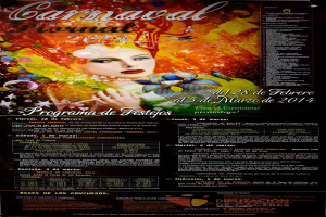 Eine Frau in buntem Kleid, die fröhlich lächelt, umgeben von der Textzeile "Carnaval Festival 2014" in fetter schwarzer Schrift auf einem leuchtend gelben Hintergrund.