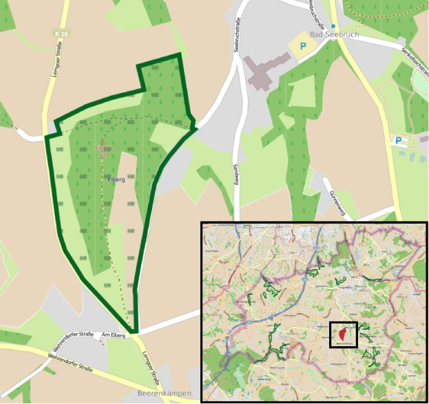 Detailierte Stadtkarte, die einen zentralen grünen Bereich als geplanten Entwicklungsstandort markiert, mit umliegenden Straßen, Gebäuden und Sehenswürdigkeiten.