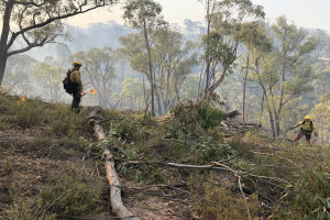 FW-SG: Waldbrand in Solingen