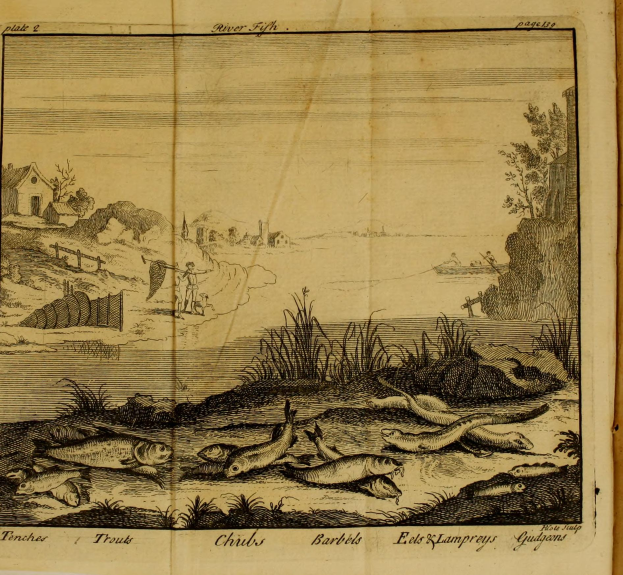 Ein aufgeschlagenes Buch mit einer Zeichnung einer Flusslandschaft mit Fischen, Pflanzen, Bäumen, Häusern und anderen Gegenständen, mit Text unten.