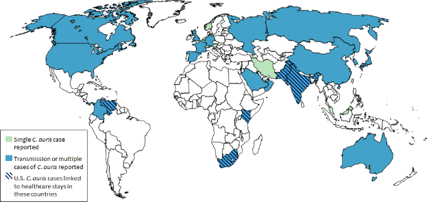 Eine Weltkarte, die die Anzahl der Coronavirus-Fälle in verschiedenen Ländern anzeigt, mit blauen und grünen Bereichen und erklärendem Text auf der linken Seite.
