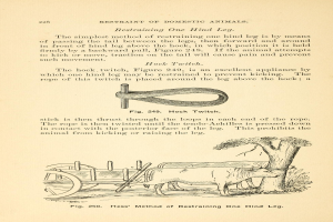 Ein altes Buch mit einer Zeichnung einer Kuh, die einen Wagen zieht, mit einem Baum im Hintergrund und der Inschrift "Einschränkung von Haustieren" auf der Seite.