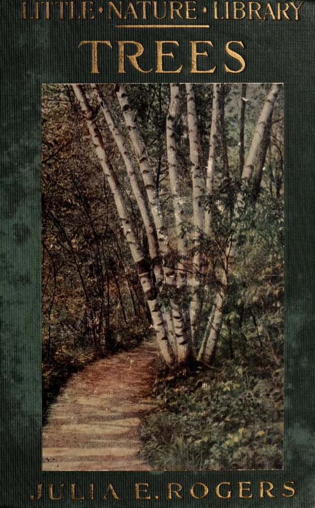 Ein Buchumschlag, der einen sonnendurchfluteten Pfad zeigt, der sich durch einen üppigen Wald aus hohen, verschiedenen Bäumen schlängelt, mit dem Titel "Kleine Naturbibliothek Bäume von Julia E. Rogers" oben drauf.