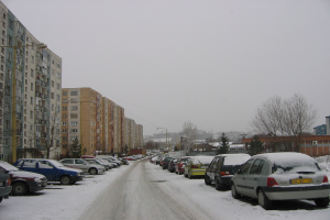 Eine Wohnstraße mit Häusern, Bäumen, Autos und Strommasten, die von Schnee bedeckt ist.