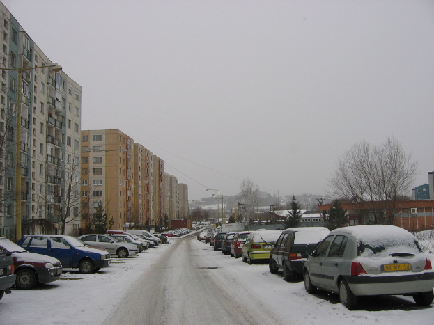 Eine Wohnstraße mit Häusern, Bäumen, Autos und Strommasten, die von Schnee bedeckt ist.