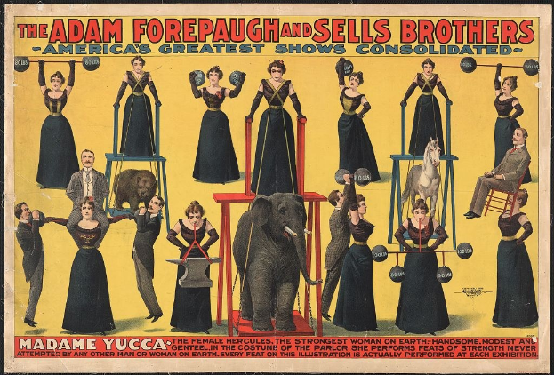 Plakat für die vereinigte Zirkusshow von Adam Forepaugh und Sells Brothers mit Performern auf Hockern um einen zentralen Elefanten und Werbetext.