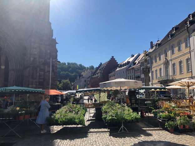 Ein lebendiger Markt in Heidelbergs Altstadt mit Menschen, die zwischen Tischen mit Blumentöpfen und Sonnenschirmen umhergehen und sitzen, vor einem Hintergrund aus Gebäuden, Bäumen und einem klaren blauen Himmel.