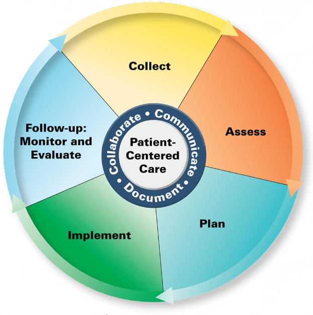 Kreisförmiges Diagramm mit der Bezeichnung "patientenorientierte Versorgung" mit vier farbigen Abschnitten, von denen jeder mit einem spezifischen Aspekt der Versorgung beschriftet ist.