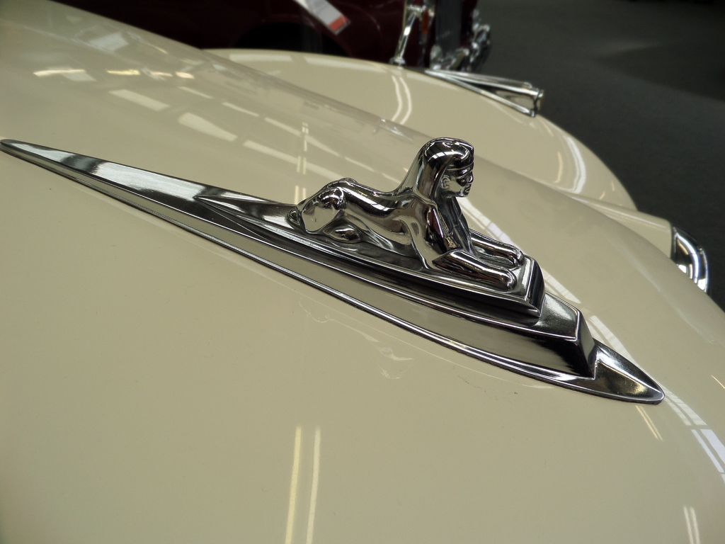 Autologos auf der Front diverser Autos angezeigt