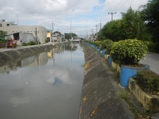 Flutstraße in der Stadt mit Wasser auf der Straße, Fahrzeugen auf der linken Seite, Bäumen und Pflanzen auf der rechten Seite, Gebäuden und Strommasten im Hintergrund und einem bewölkten Himmel oben.