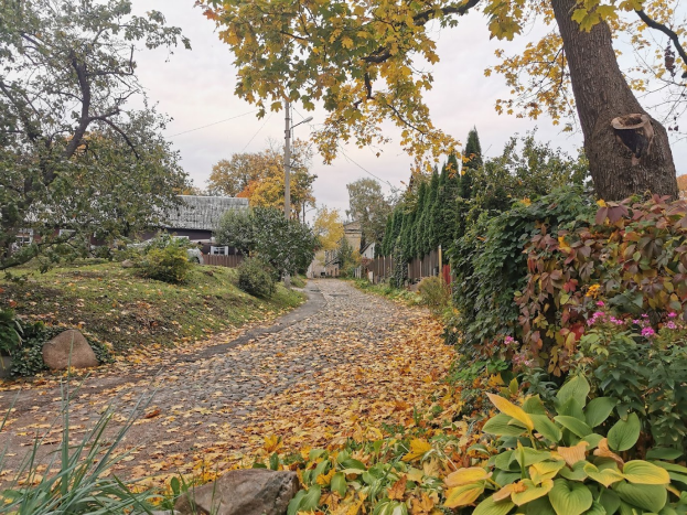 Ein mit Bäumen und Sträuchern gesäumter Schotterweg im Herbst, mit farbigen Blättern, Gebäuden, Masten, Drähten und Pflanzen im Hintergrund und rechts.