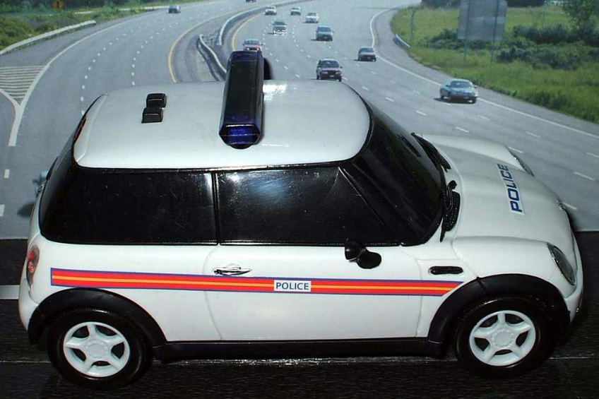 Ein weißer Polizeiwagen ist im Vordergrund geparkt, mit mehreren Autos, die sich auf der Straße dahinter bewegen, umgeben von Gras und Bäumen auf beiden Seiten in einer ländlichen Umgebung.